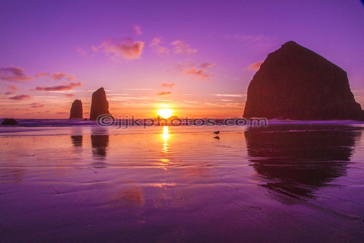 Haystack Rock at sunset